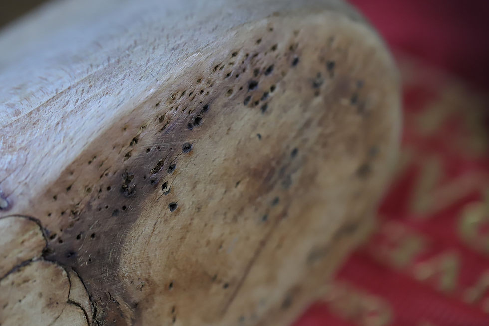 Thumbnail: Wood shoetree from shoemaker's early 20th century