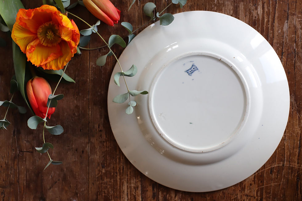 Miniature : Paire de plats rond en terre de fer de Lunéville - Modèle Cartouche