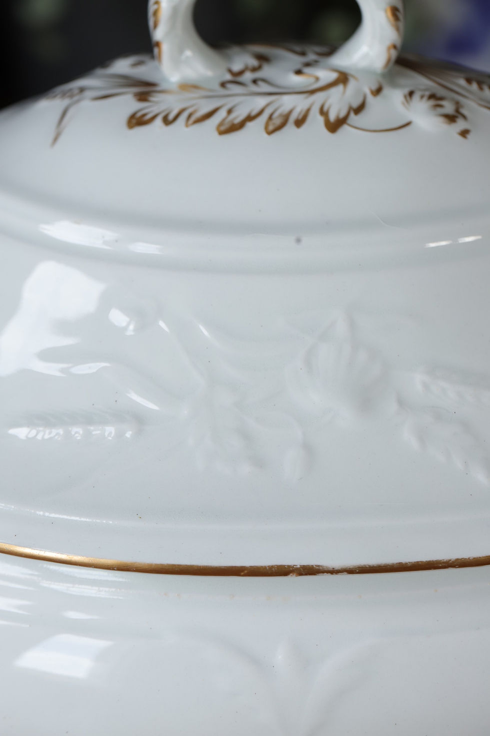 Thumbnail: A 19th century English ironstone tureen
