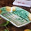 Thumbnail: Asparagus dish in Majolica from Salins