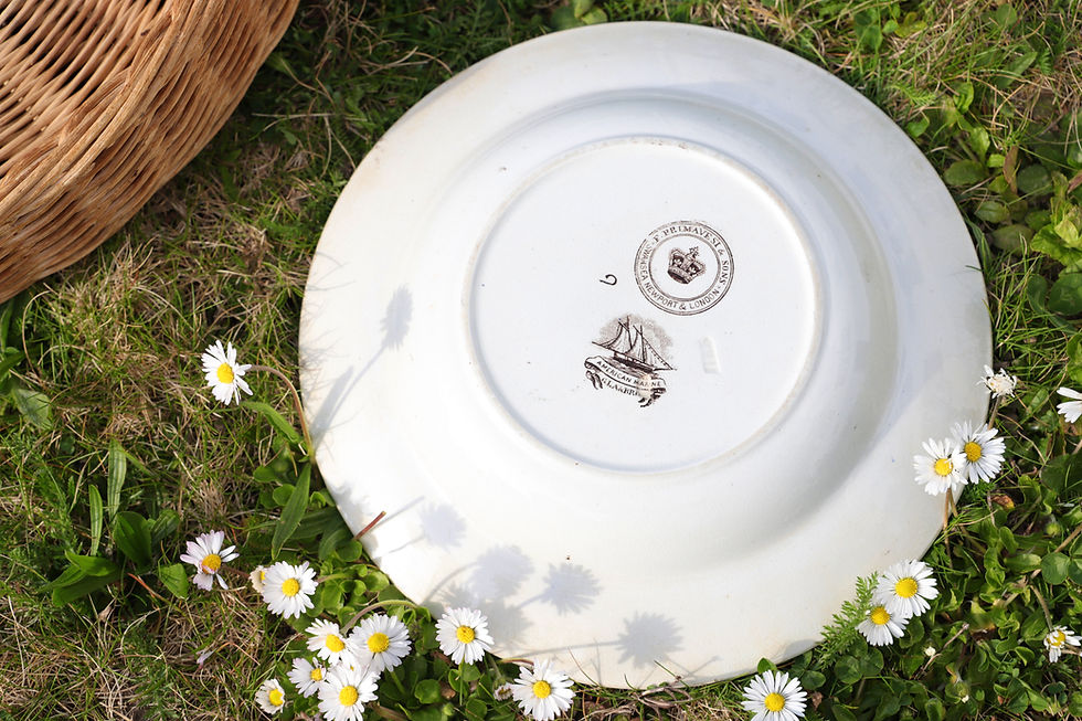Thumbnail: 5 English plates in 19th century ironstone - American Marine