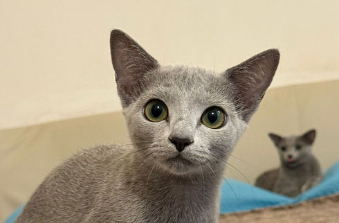 Nilde pic_edited_edited_edited.jpg