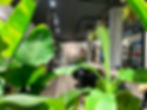 E8846BD7-11B3-43DE-86CC-BDCD9ED630CB.jpe