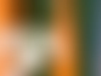 Stop Snoring Fast: Mouthguard Alternative Solutions