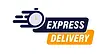 express-delivery-with-stopwatch-icon-concept-for-service-order-fast-free-and-worldwide-shi