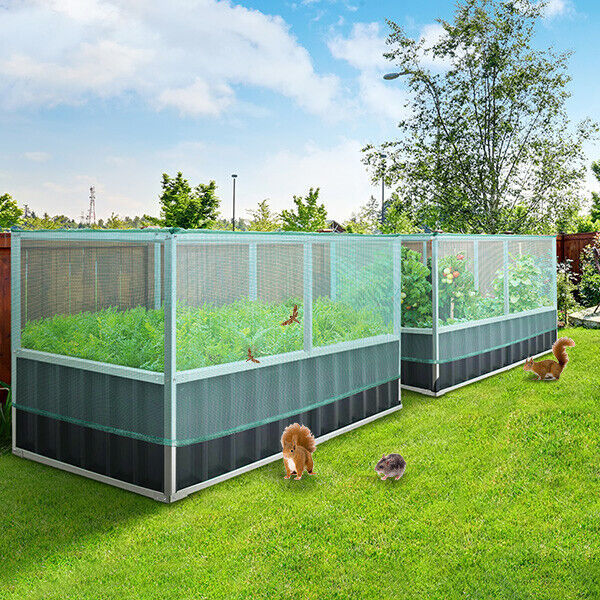 Raised Garden Bed with Anti Bird Protection Netting Structure