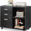 Thumbnail:  3-Drawer Wood File Cabinet with Lock, Mobile Filing Cabinet, Black