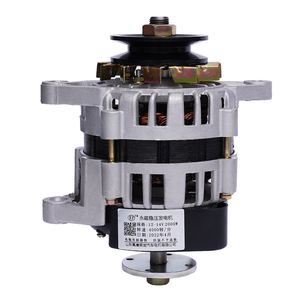 2000W 12V/24V DC Permanent Magnet Motor Agriculture Brushless