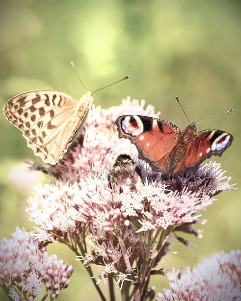 Massage mère-fille à Commequiers – un moment complice de douceur, d’échange et de reconnexion.
