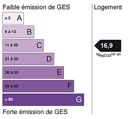 ges (17).png