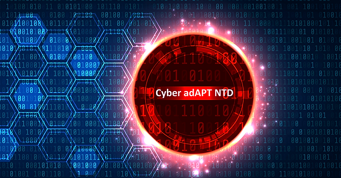cyber-adapt-image-1920-1000-capabilities