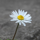 blog page image 1.jpg