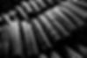 1U6A4159.jpg