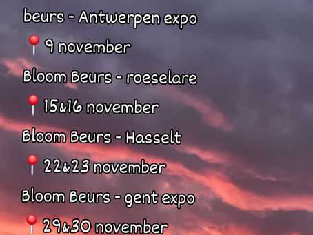 Beurzen November 2025 ✨