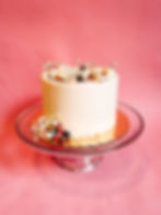 VANILLA RICOTTA