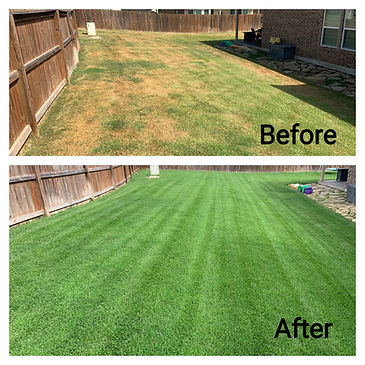 BeforeAfterDry2.jpeg