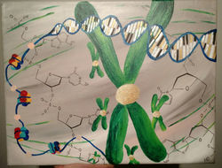 DNA painting