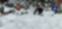 IMG_7965_edited.png