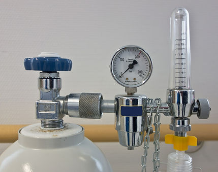 Respiratory Therapist Services 
