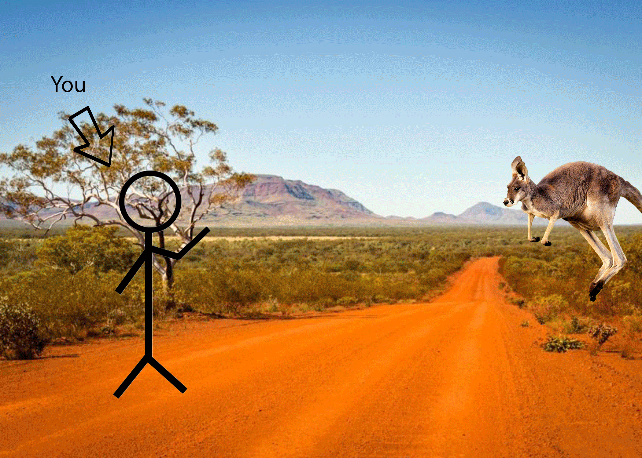 kangaroo.gif