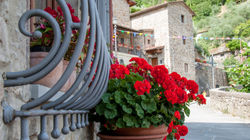 Antonella Cuseri