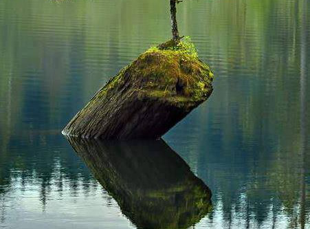 Where there is a will there is a way!