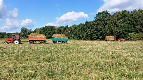 Trecker mehrwere_edited.jpg