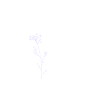 Cereus IG Posts Template  (1).png