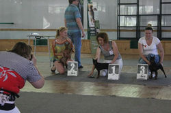 Сравнение на ЛПП