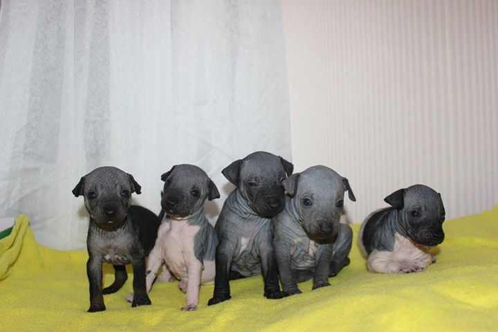 девочки все вместе _)