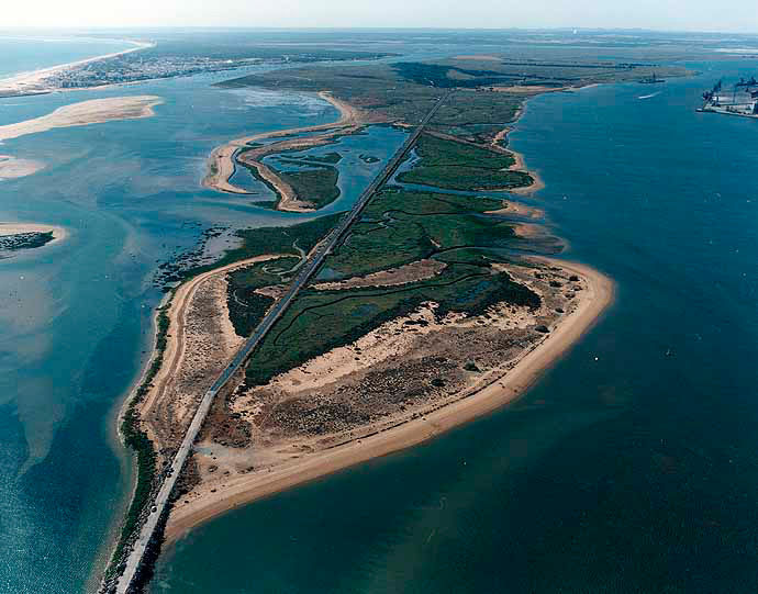 La isla Saltés