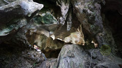 Caverna El Indio - Panel rupestre