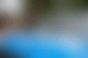 The ABC Kite Fest is an annual celebration of kites and community fun