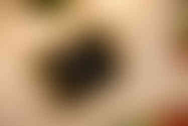 2022 FloSports Holiday Party | Mueller Scott, Austin, TX Corporate Holiday Events