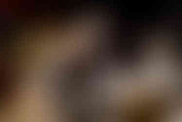 2022 FloSports Holiday Party | Mueller Scott, Austin, TX Corporate Holiday Events