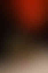 2022 FloSports Holiday Party | Mueller Scott, Austin, TX Corporate Holiday Events