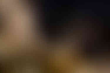 2022 FloSports Holiday Party | Mueller Scott, Austin, TX Corporate Holiday Events