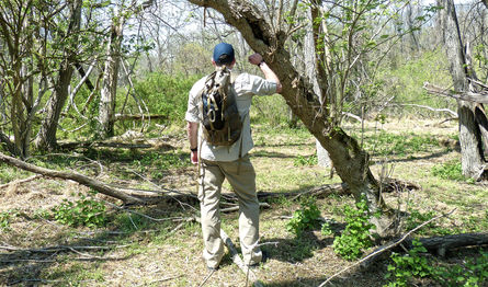The Get-Home Bag (Not a Bug-Out Bag!)