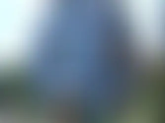 ねこともハウス SANCHACO