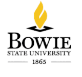 bowie_edited.png