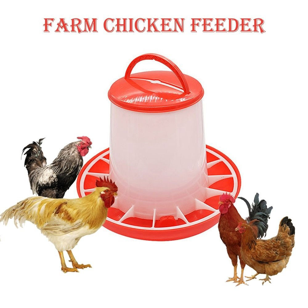 Poultry Feeders Plastic 1.5Kg Reusable Chick Hen Quail Pigeon Feeding Watering T
