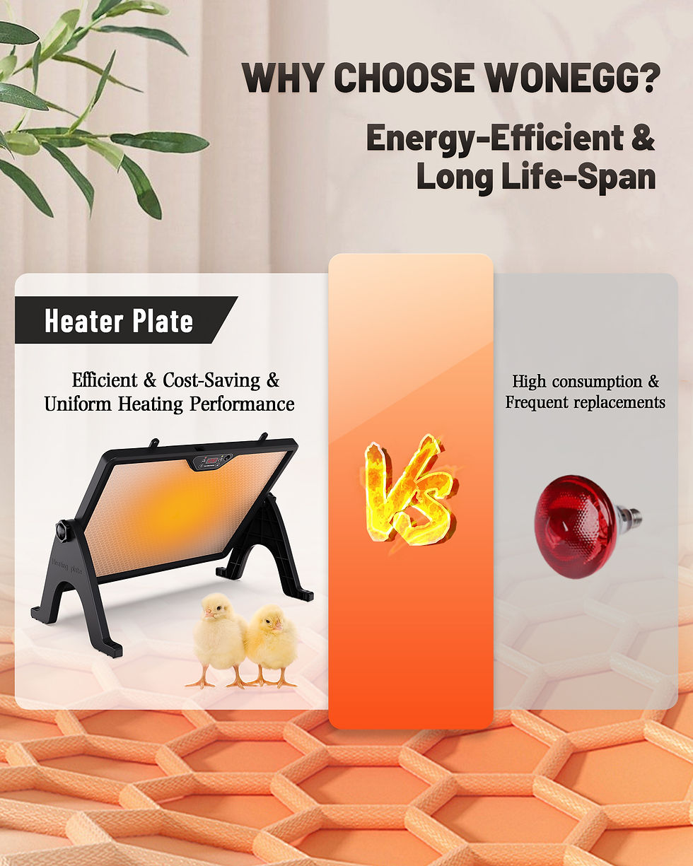 Thumbnail: Dual-Sided Chicken Brooder Heater Plate- 16.5" x 12 "Chicken Coop Heater, Adjust
