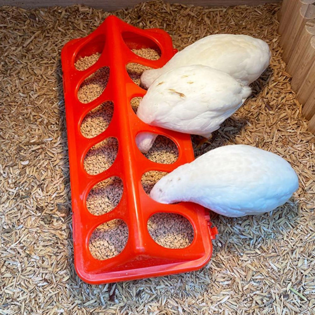 Poultry Thickened Feeder And Drinker Water Food Dispenser Chicken Birds Chick Wa