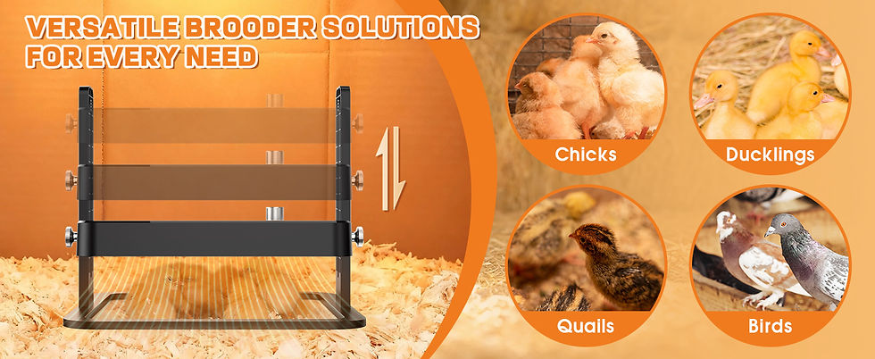 Thumbnail: Dual-Sided Chicken Brooder Heater Plate- 16.5" x 12 "Chicken Coop Heater, Adjust