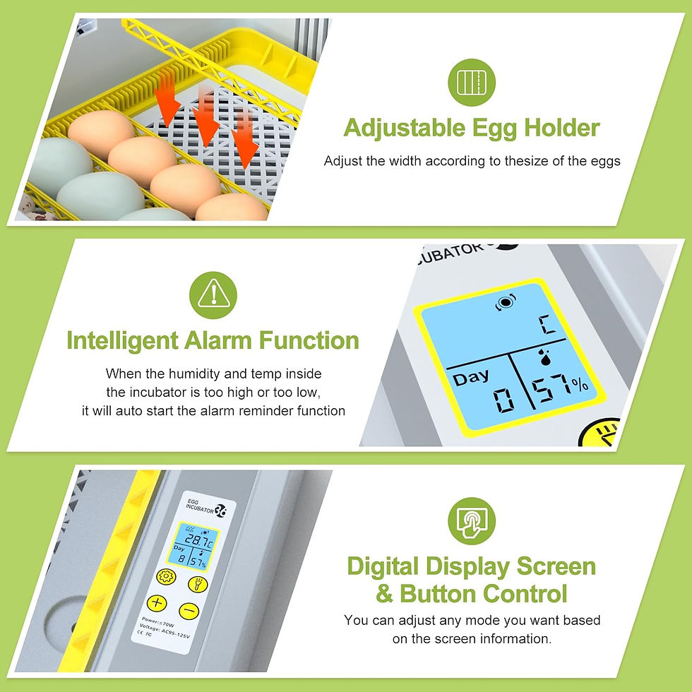 Thumbnail: 36 Egg Incubator for Hatching Eggs withAuto Turn, Temp & Humidity Control, Built