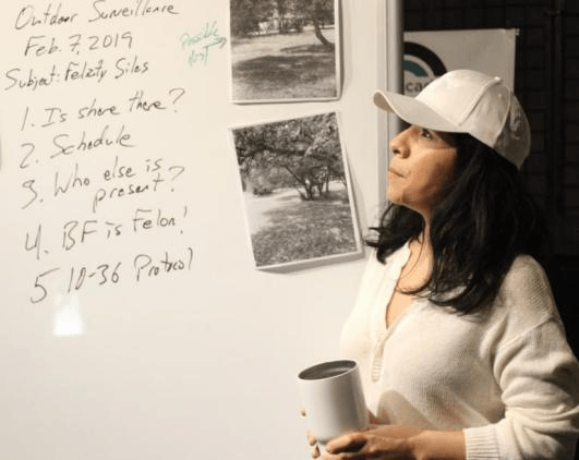 choose your private investigator path