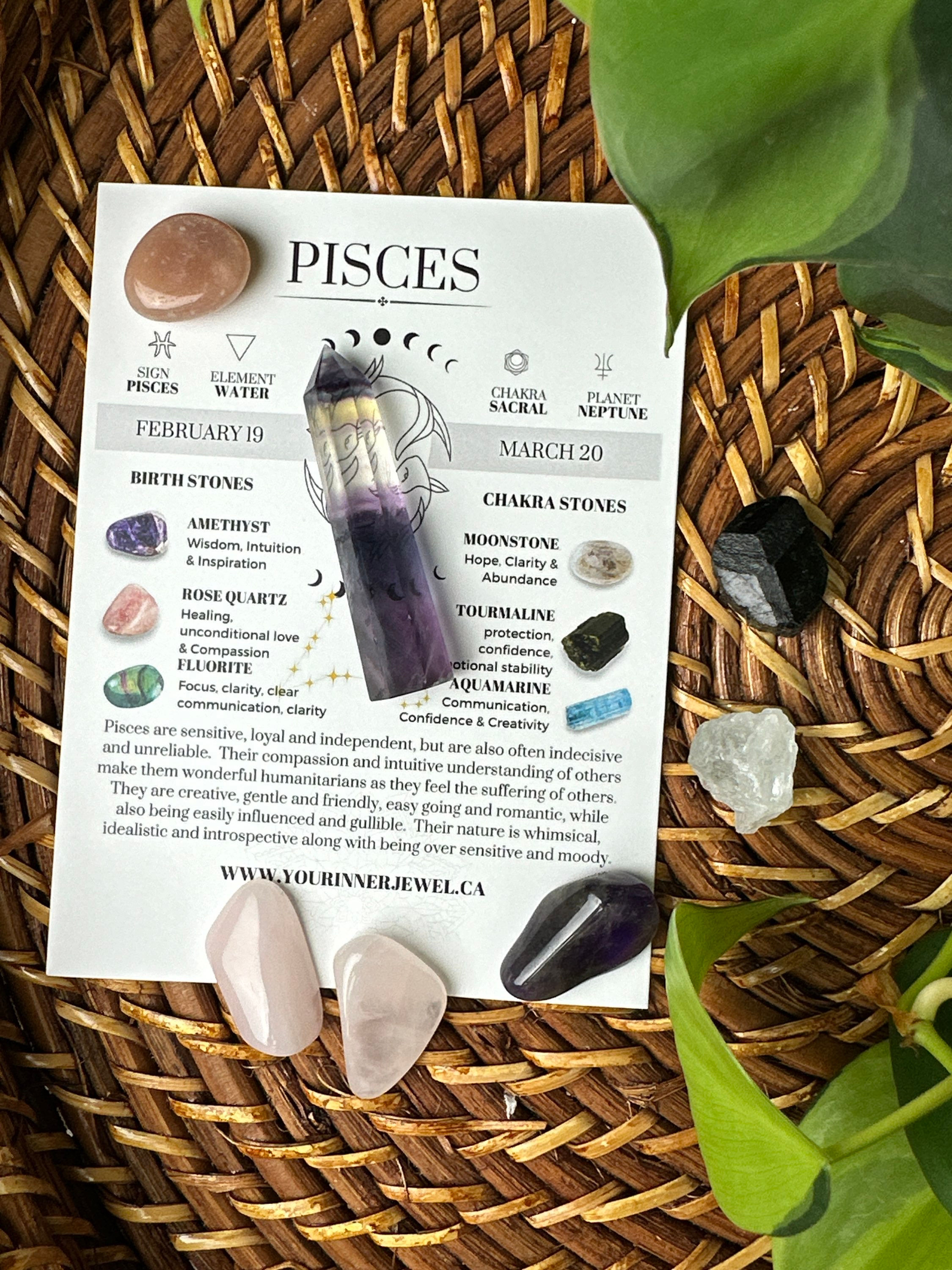 Pisces Zodiac Bundle 