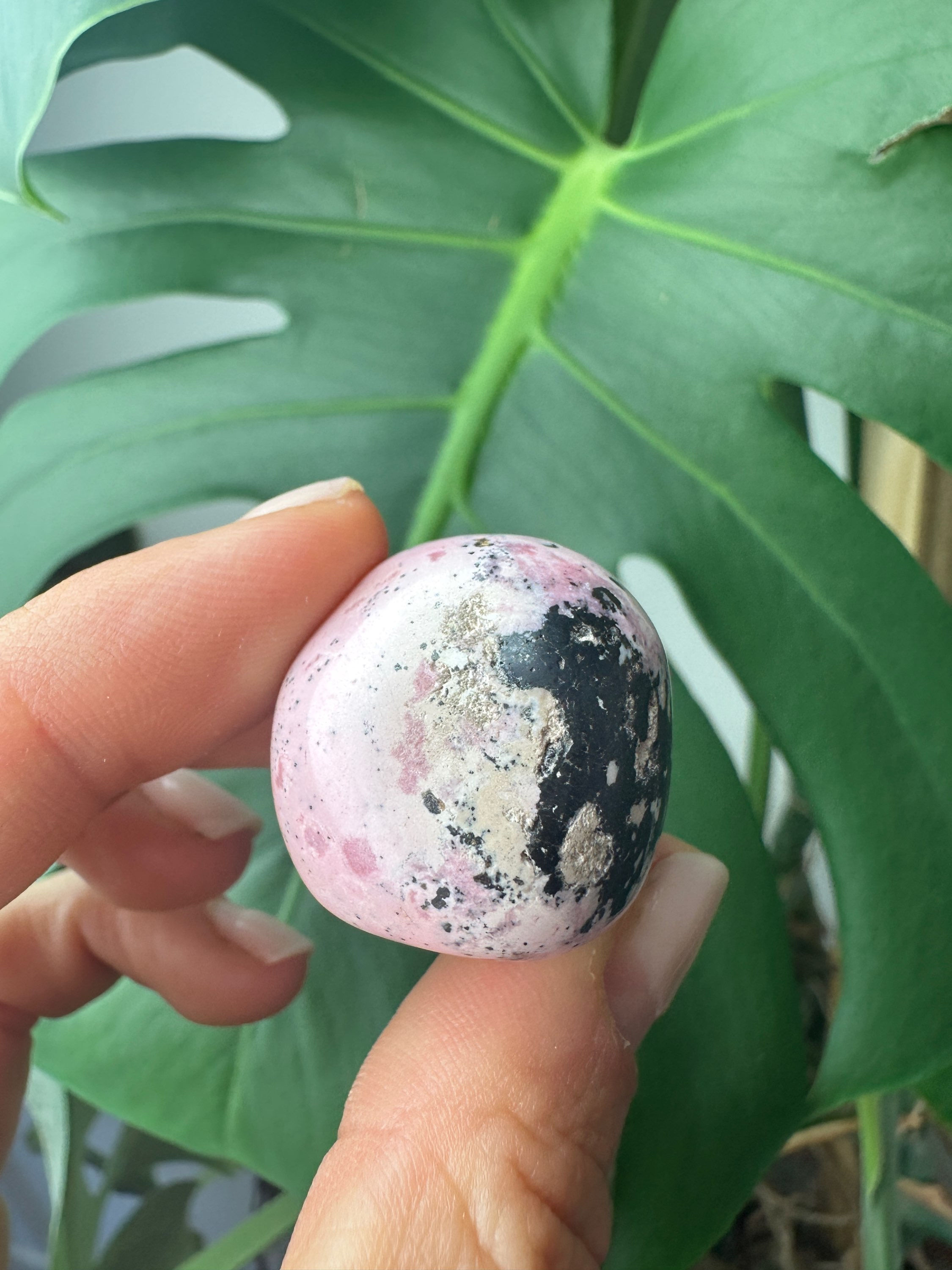 Rhodonite and Hematite