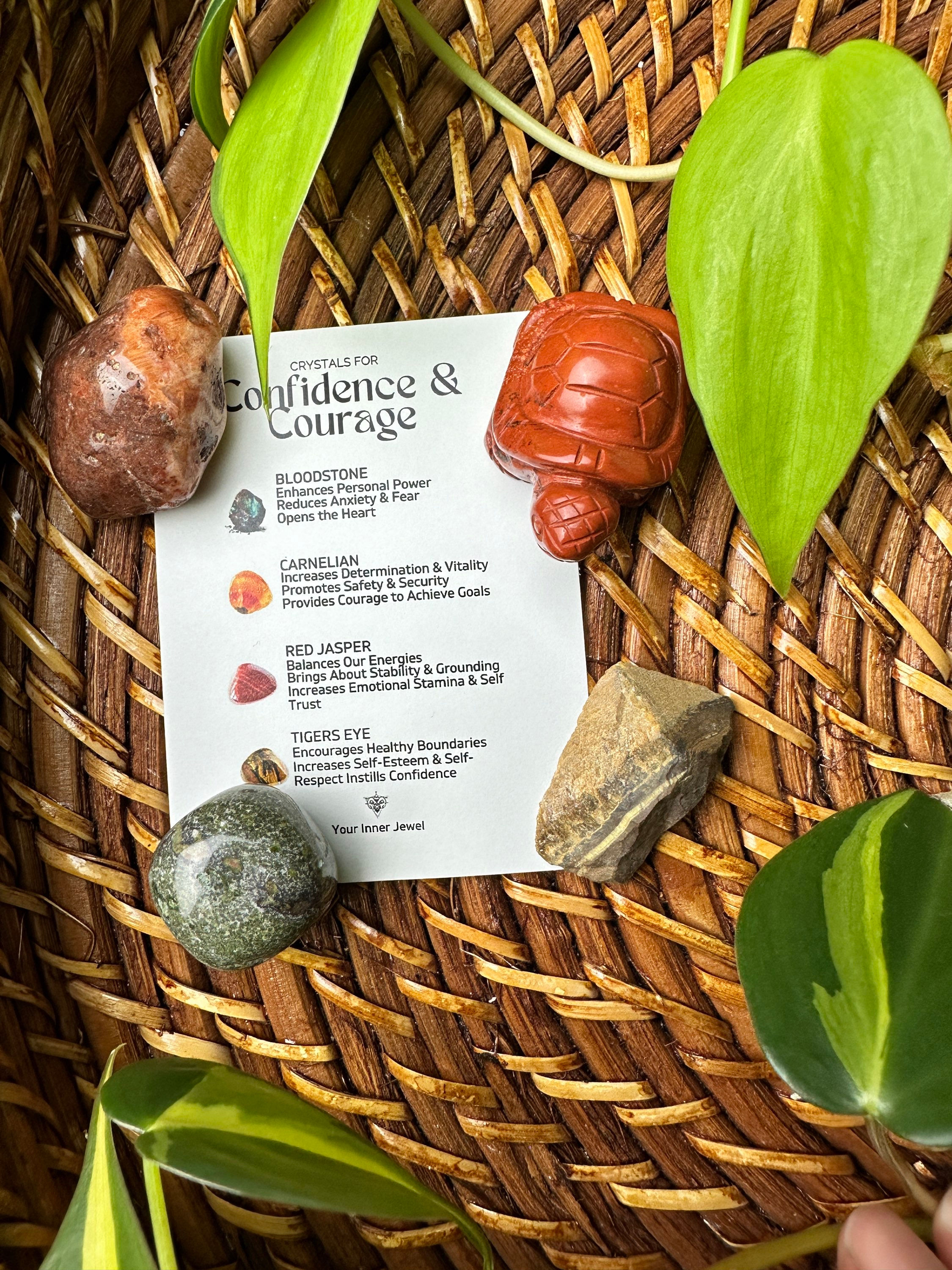 Confidence & Courage Bundle 