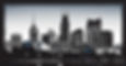 nashville skyline black and white with blue accents_.jpg